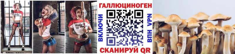 где найти наркотики  Йошкар-Ола  Псилоцибиновые грибы Cubensis 